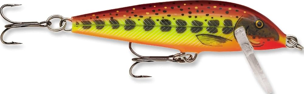 Amazon.com : Rapala Countdown 7/16 Oz Fishing lure (Hot